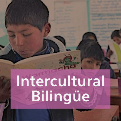 Educación Intercultural Bilingüe
